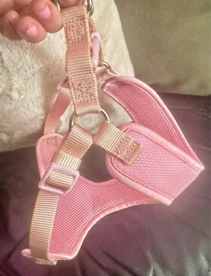 Wee wee pads and Harness