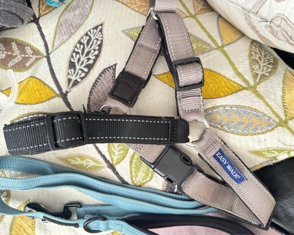 Dog leashes, Harness, collars New - photo 5