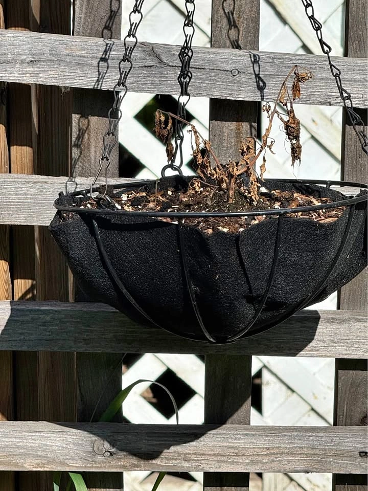 2 circular hanging baskets