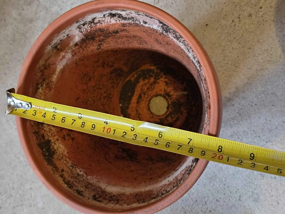 8-Inch Terracotta Plant Pot