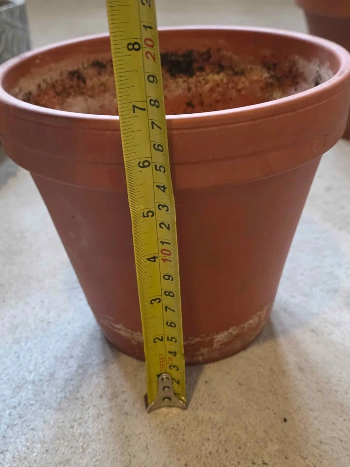 8-Inch Terracotta Plant Pot - photo 2