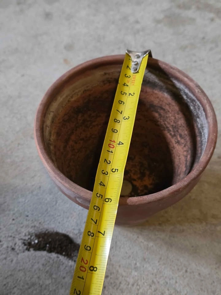 8-Inch Terracotta Plant Pot - photo 3