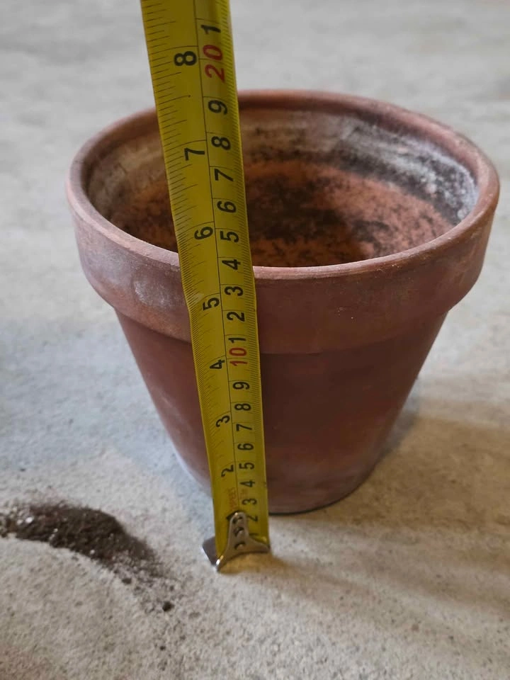 8-Inch Terracotta Plant Pot - photo 4