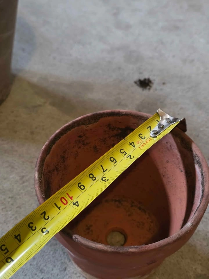 8-Inch Terracotta Plant Pot - photo 5