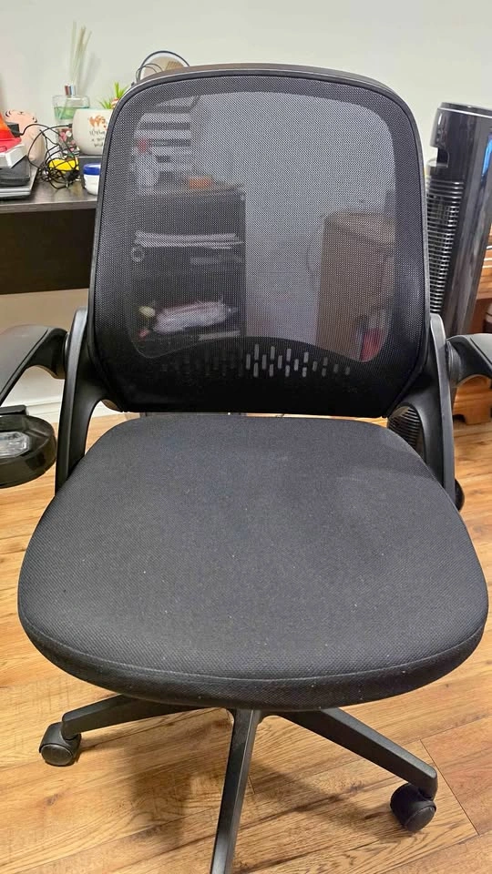 Ergonomic Mesh Office Chair