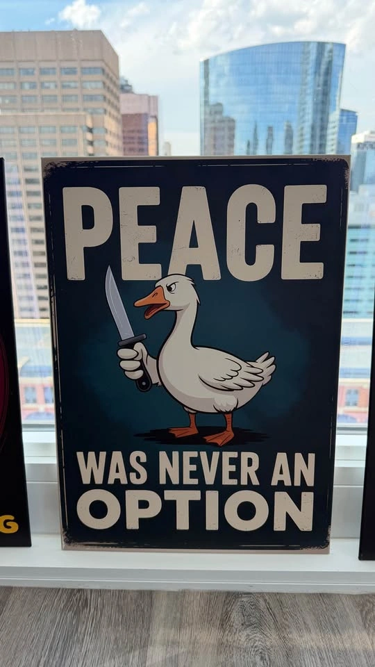 Original Displate Metal Poster – Like New - photo 2