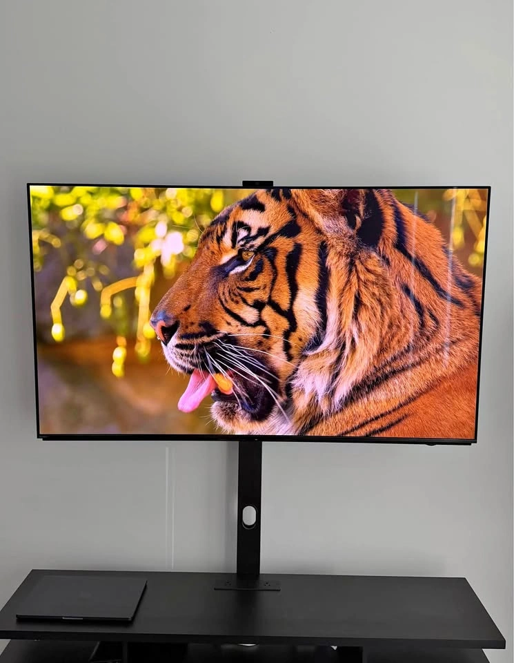 Sony 55” A95L BRAVIA XR QD-OLED 4K HDR Google TV