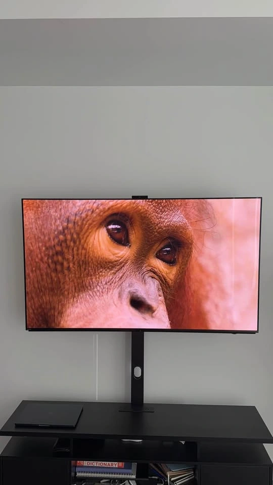 Sony 55” A95L BRAVIA XR QD-OLED 4K HDR Google TV - photo 3