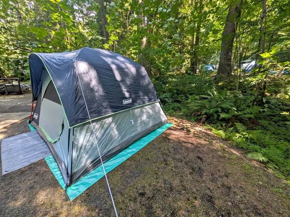 Coleman 6-person tent