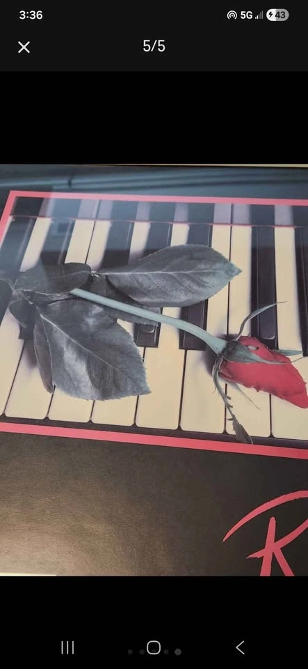 1980s Romantic Music Art Prints - Set of 2 Framed - photo 5