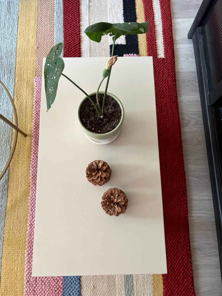 Coffee Table – $35 - photo 5