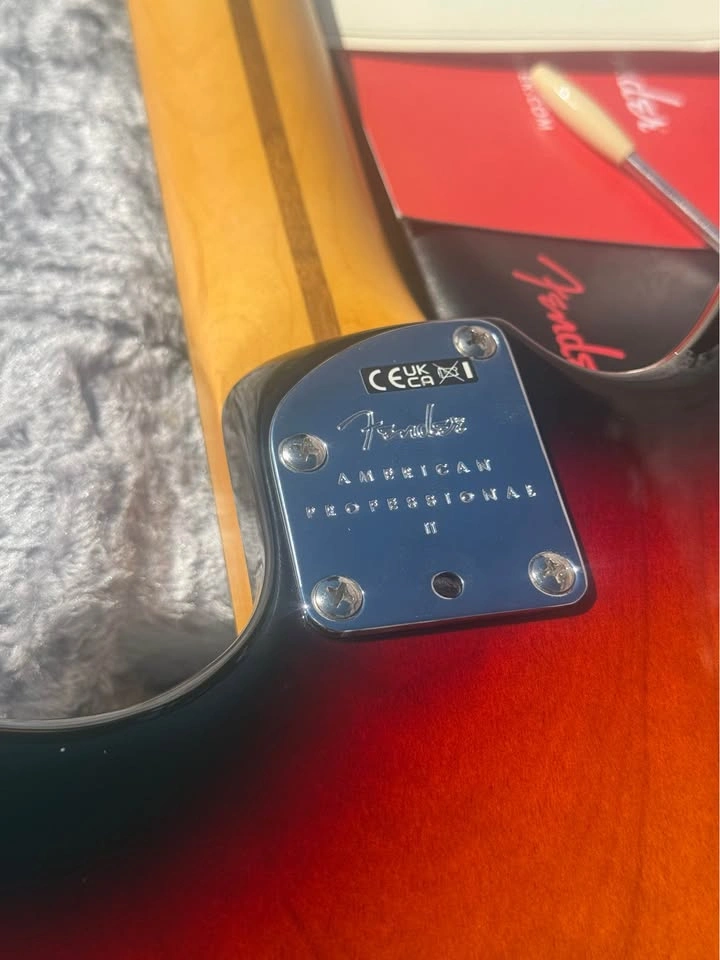 Fender American Professional II Jazzmaster - photo 4