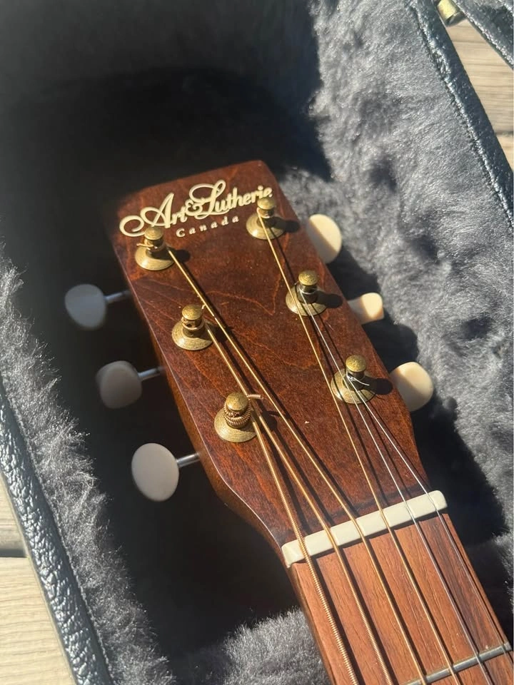 Art & Lutherie Parlour w/ Pickup! - photo 2