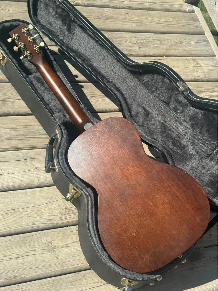Art & Lutherie Parlour w/ Pickup! - photo 3