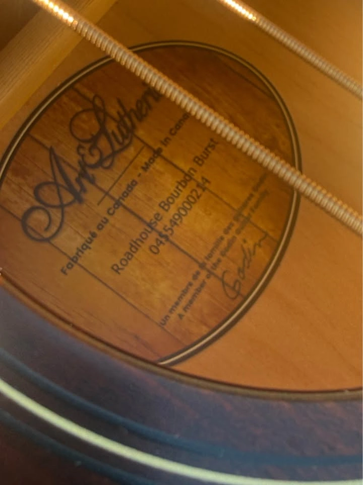 Art & Lutherie Parlour w/ Pickup! - photo 5
