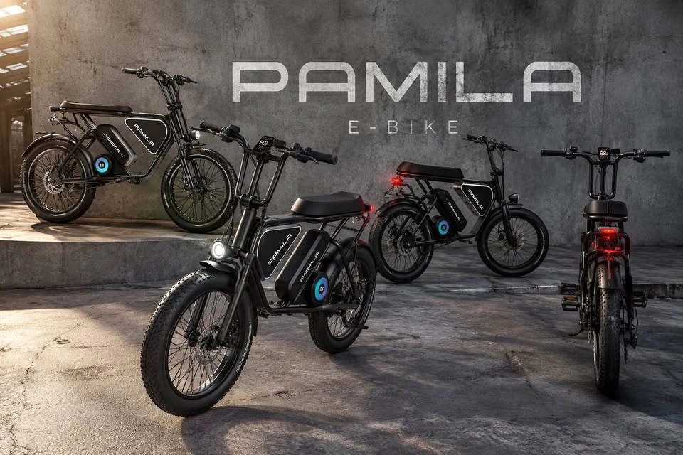 BRAND NEW PAMILA E-BIKE – HIGH PERFORMANCE | SEALED BOX
