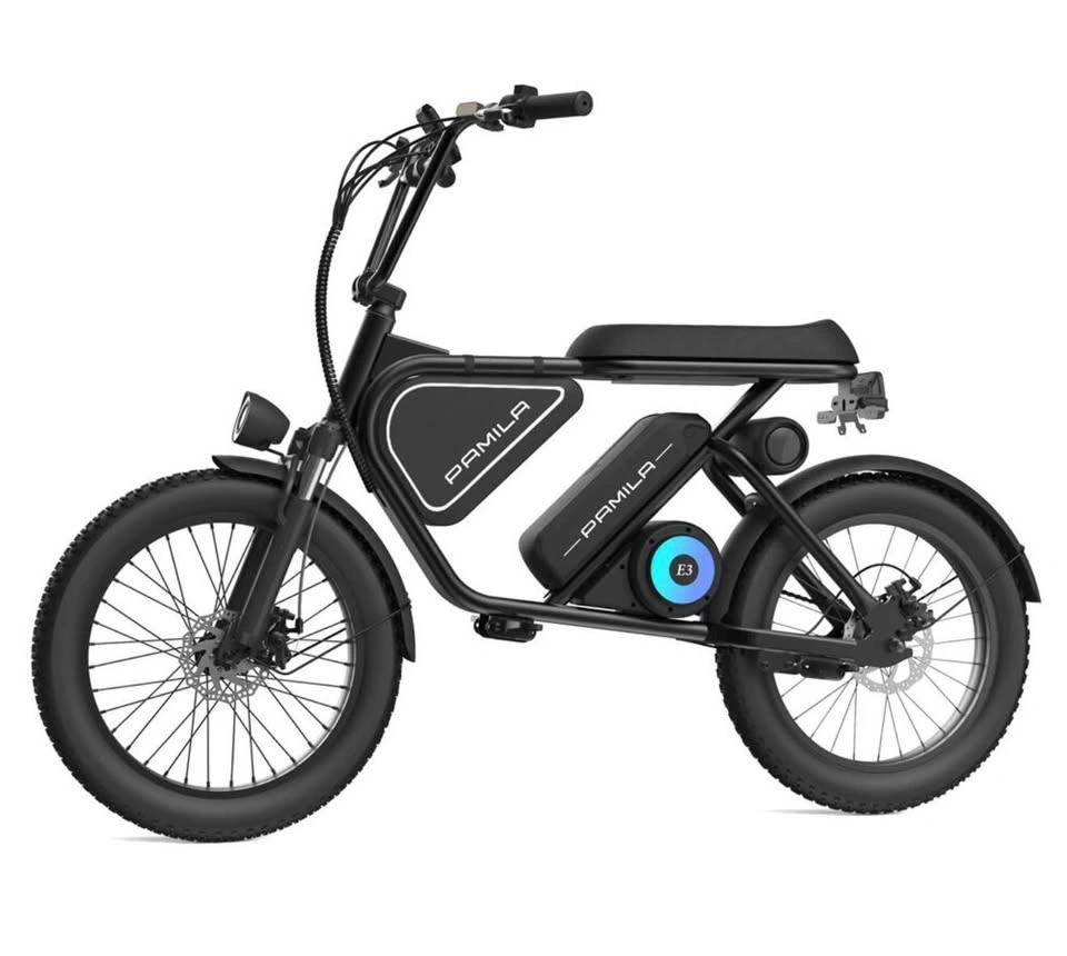 BRAND NEW PAMILA E-BIKE – HIGH PERFORMANCE | SEALED BOX - photo 4
