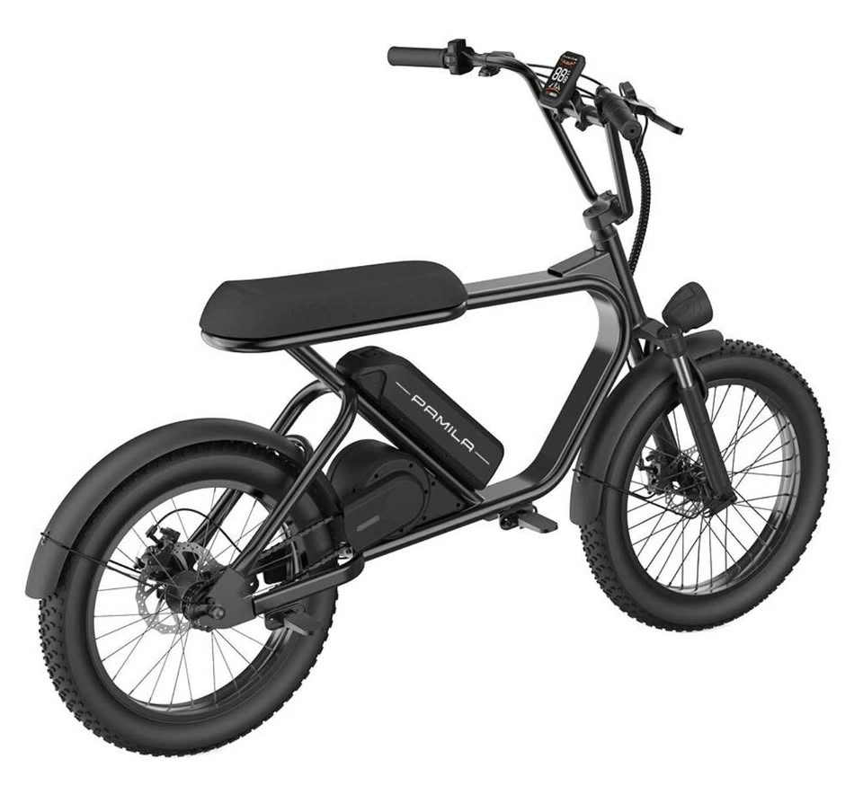 BRAND NEW PAMILA E-BIKE – HIGH PERFORMANCE | SEALED BOX - photo 5