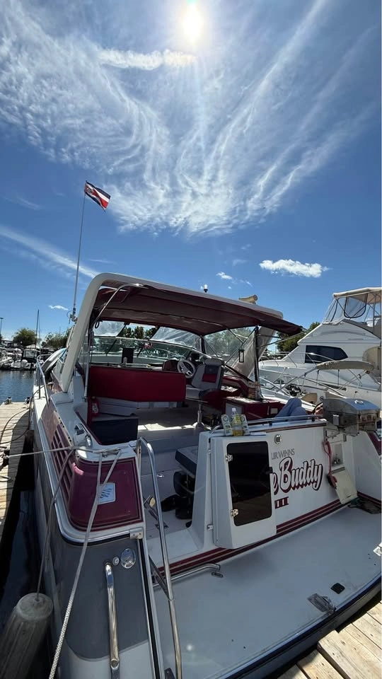 1990 Winns 315 Vista Boat - photo 3