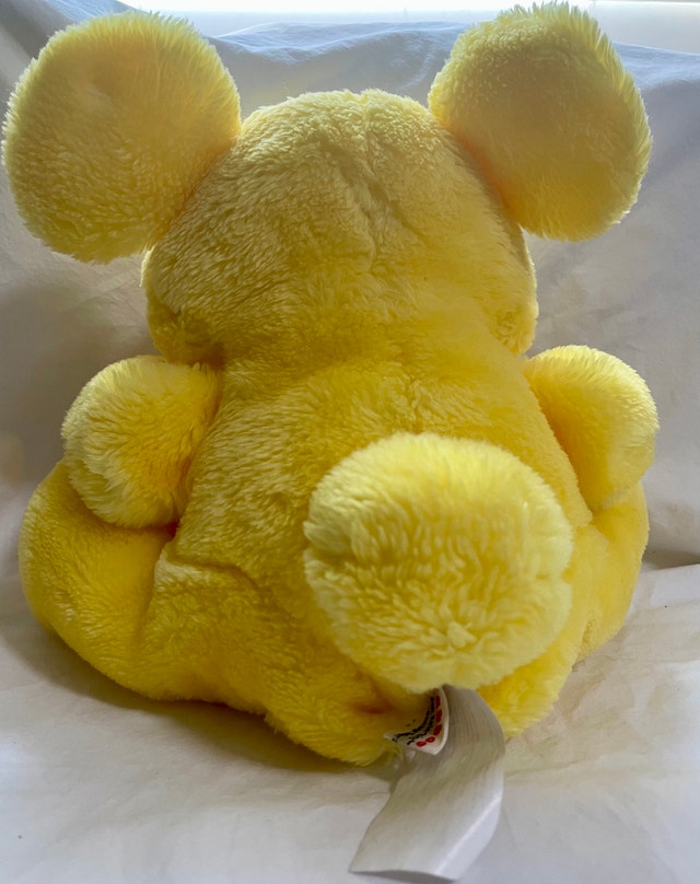 1980s/1990s Kodak Kolorkins Plush - photo 2