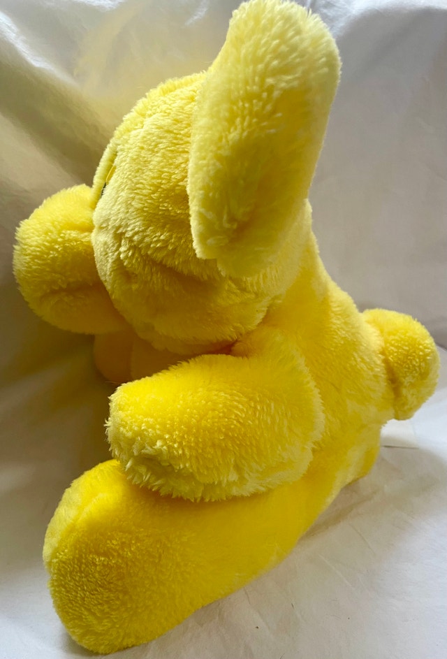 1980s/1990s Kodak Kolorkins Plush - photo 3