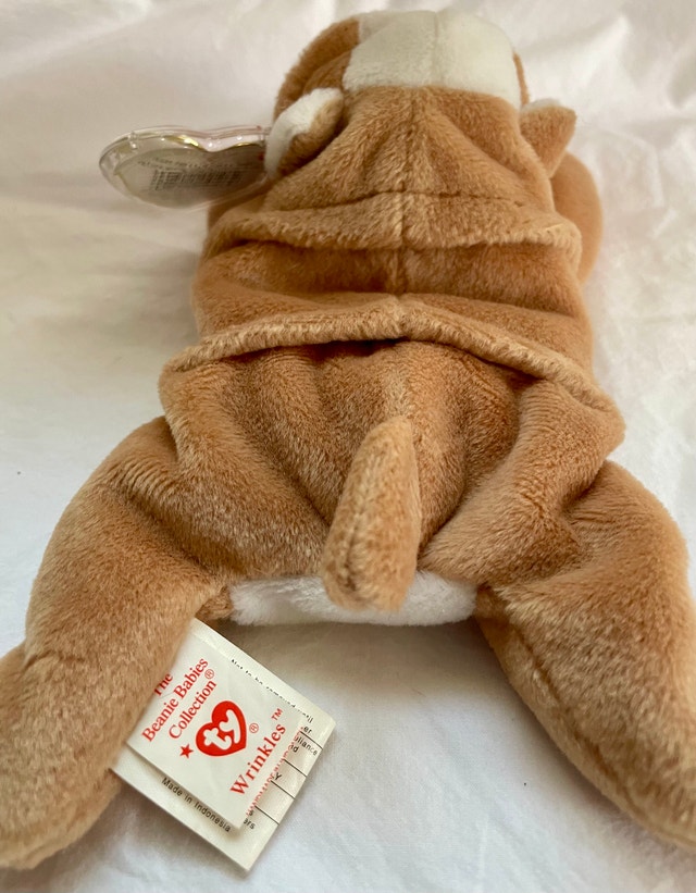 1996 Ty Beanie Baby "Wrinkles" the Bulldog – Retired Original - photo 2