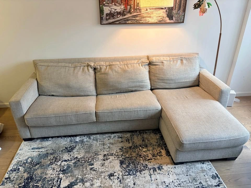 Luxury West Elm Sleeper Sofa with Storage