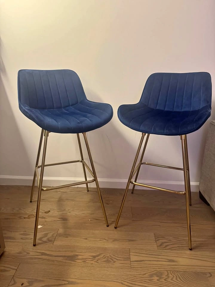 Neuhaus Swivel 28.34" Bar Stool (Set of 2)