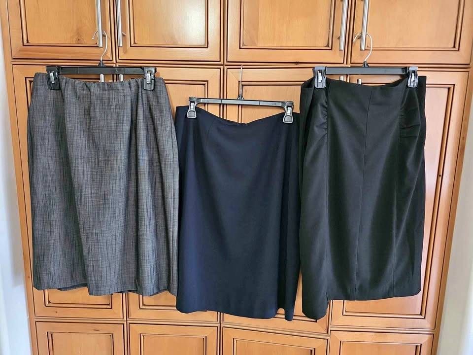 Clothing Blowout! 3 Women's Size 12 Lined Straight Skirts