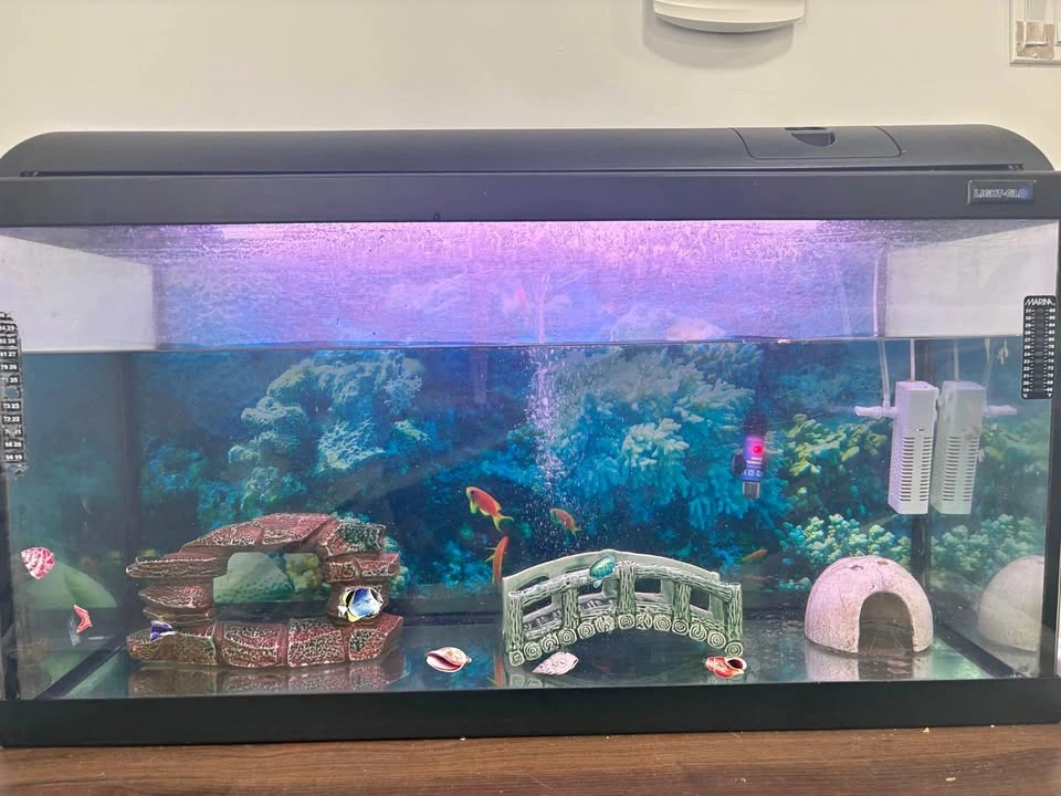 Aquarium Full set