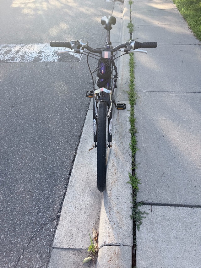 Raleigh Ambush 21 Speed Bike - photo 2