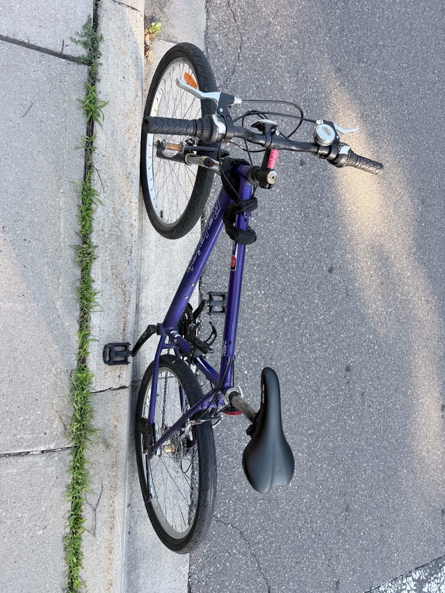 Raleigh Ambush 21 Speed Bike - photo 3