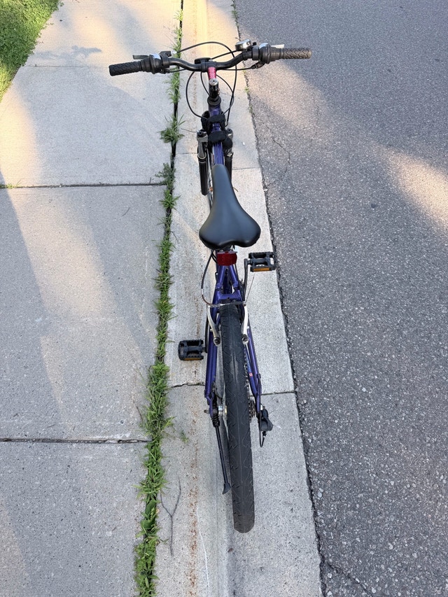Raleigh Ambush 21 Speed Bike - photo 4