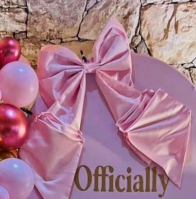 Pink bow for decor on Rent