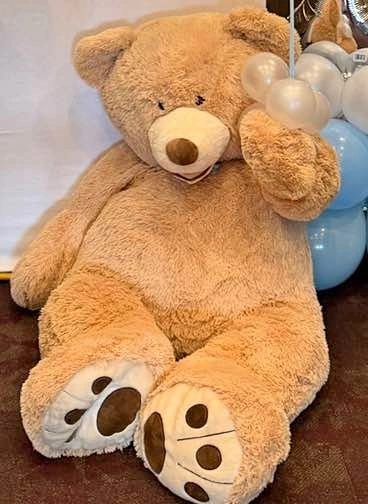 Teddy bear on rent