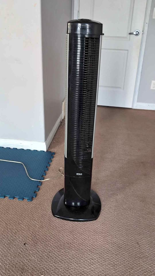 Standing Fan