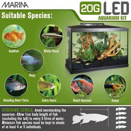 Marina 20 Gallon LED Aquarium Kit – Brand New in Box - photo 3