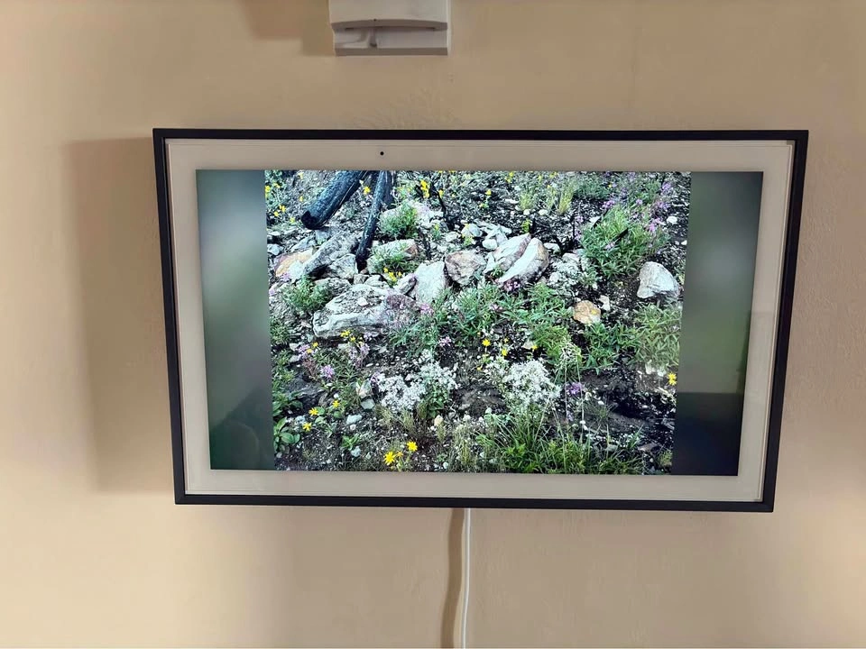 15inch Skylight with 4 months subscription