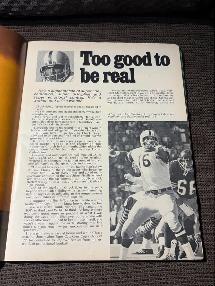 1973 Hamilton Tiger-Cats CFL Illustrated Program - photo 3
