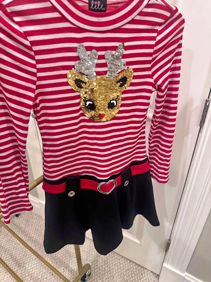Girls Size 12 Holiday Dress