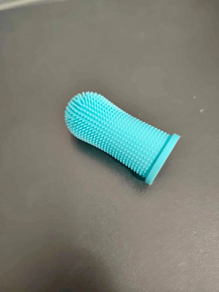 New pet toothbrush