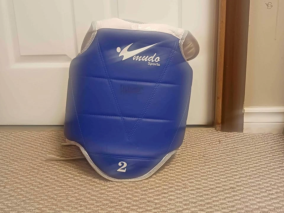 Sparring body guard