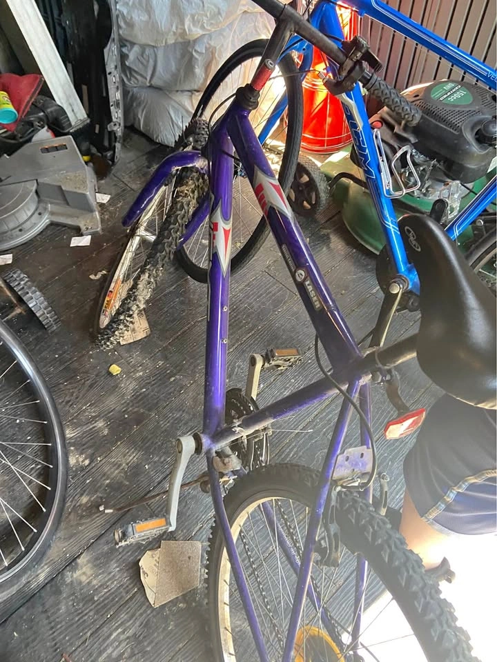 Velo Sport Laser Special Edition Mountain Bike