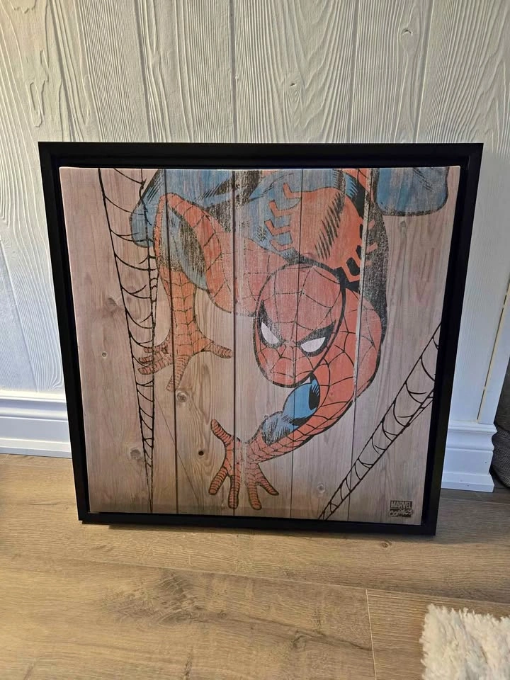 Spiderman art canvas 23x23"