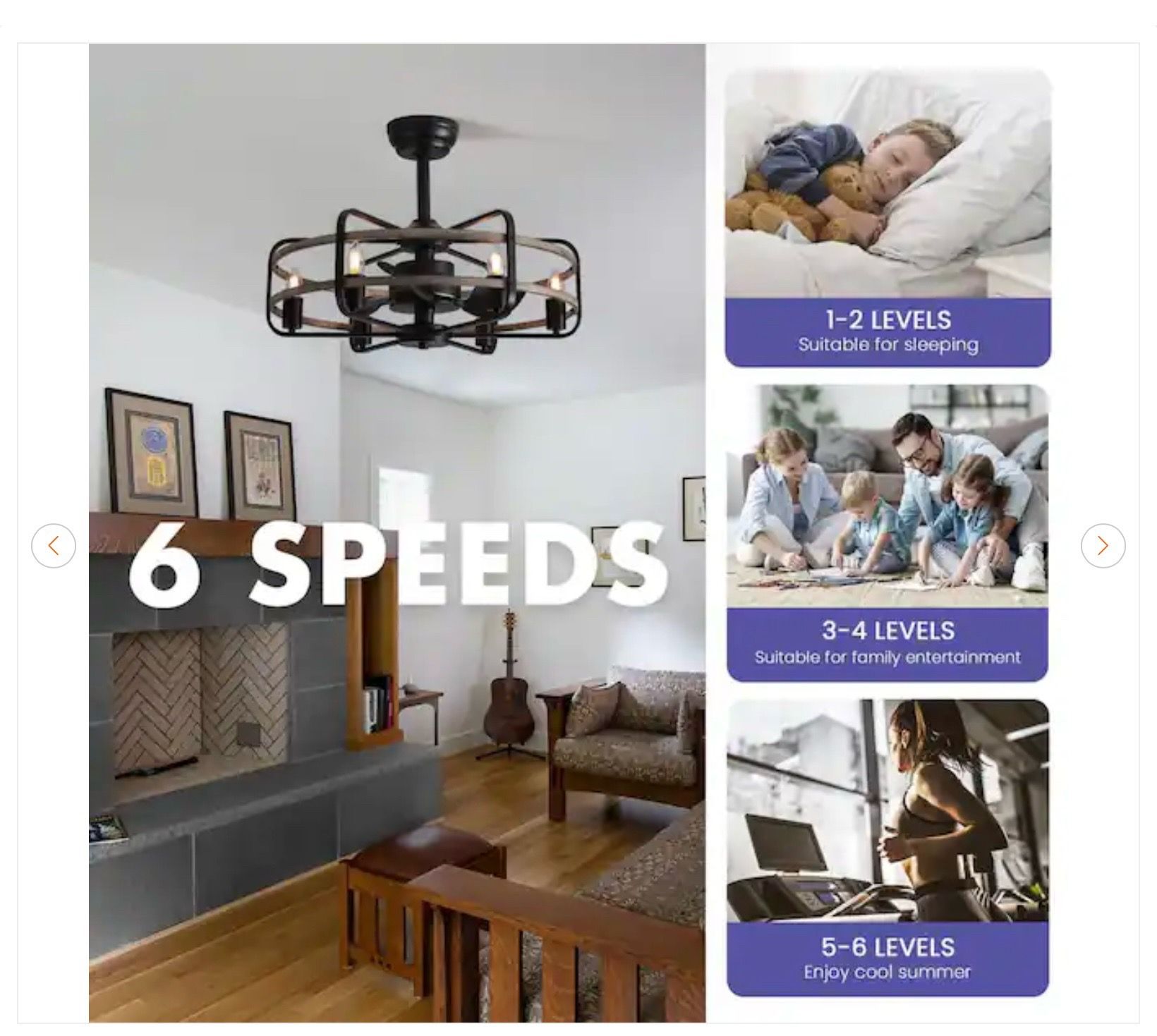 25 in. Black Farmhouse Caged Ceiling Fan with Lights - New - photo 3