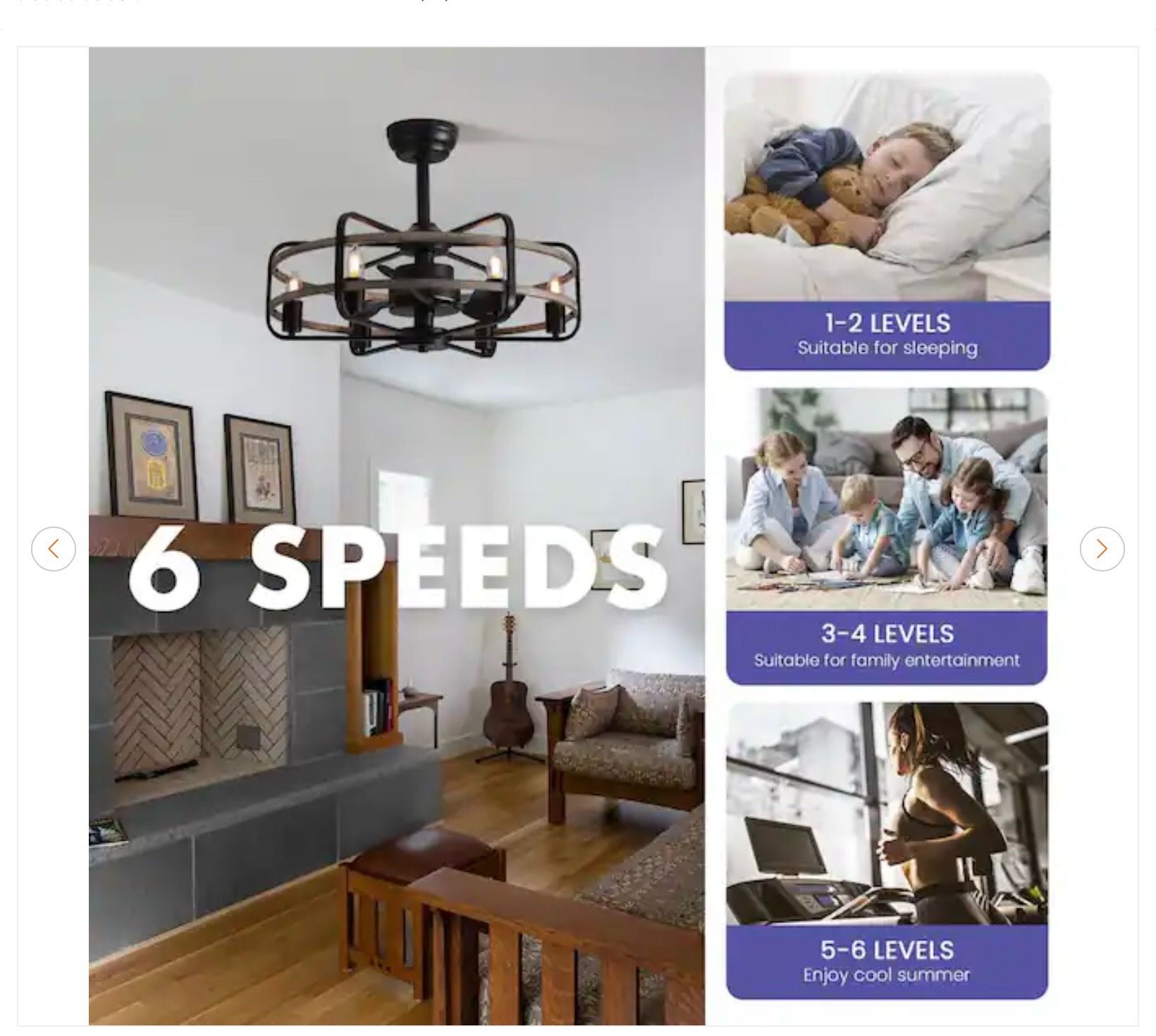 25 in. Black Farmhouse Caged Ceiling Fan with Lights - New - photo 3