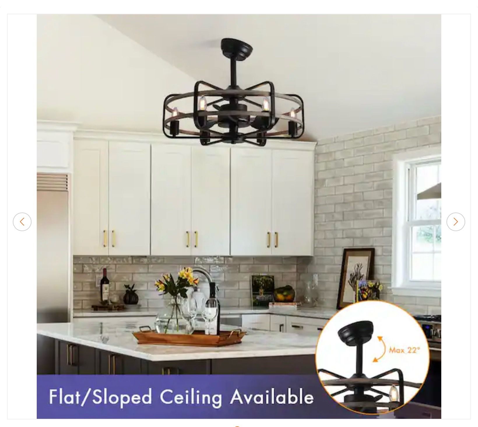 25 in. Black Farmhouse Caged Ceiling Fan with Lights - New - photo 4