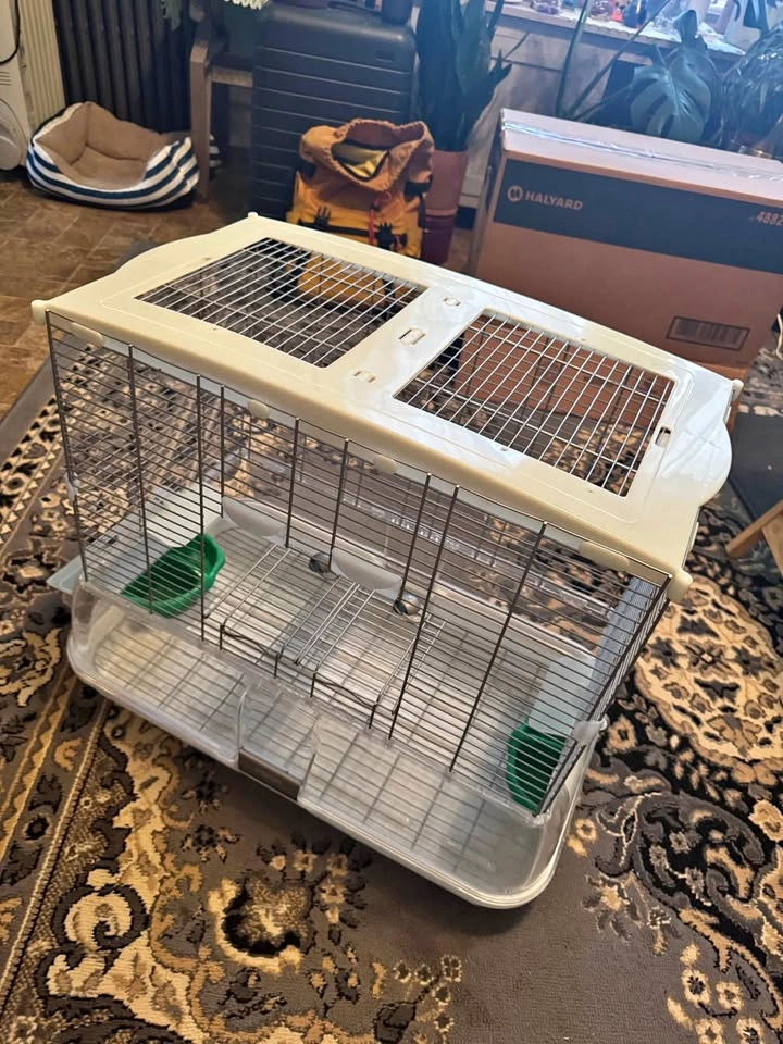 Vision Bird Cage