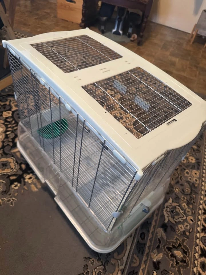 Vision Bird Cage - photo 3
