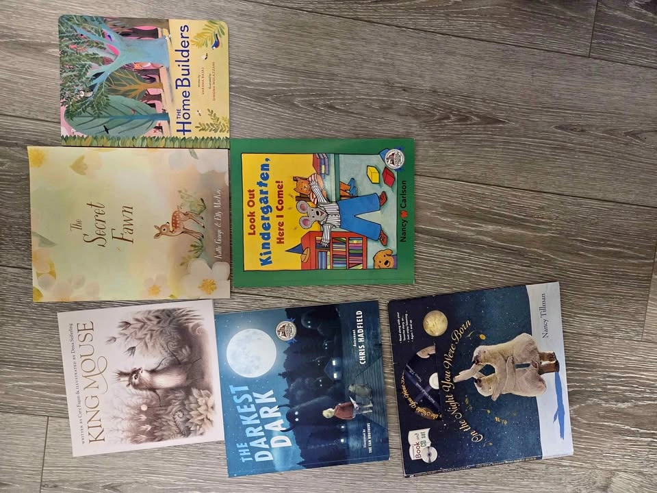 Lot of 6 Children's Picture Books